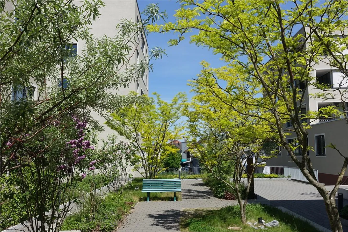 Appartement spacieux à St. Fiden - Photo 8 sur 9