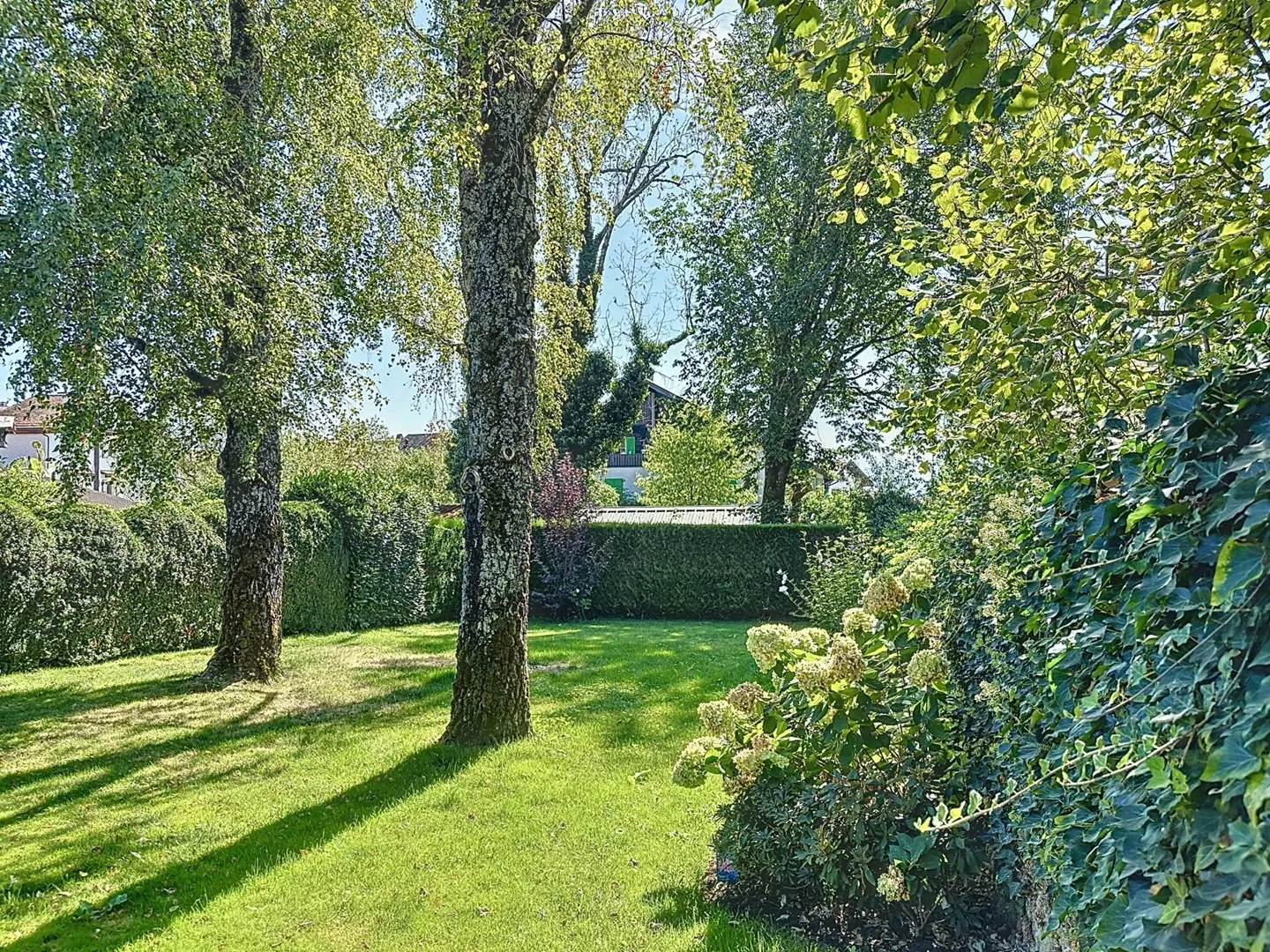 Villa in affitto - Foto 12 di 13