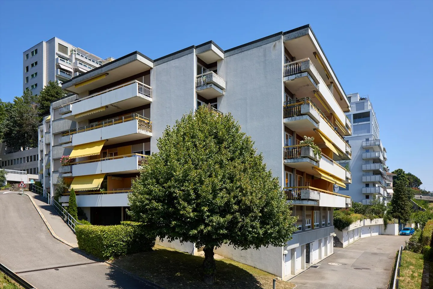 Commerce - Photo 2 sur 4