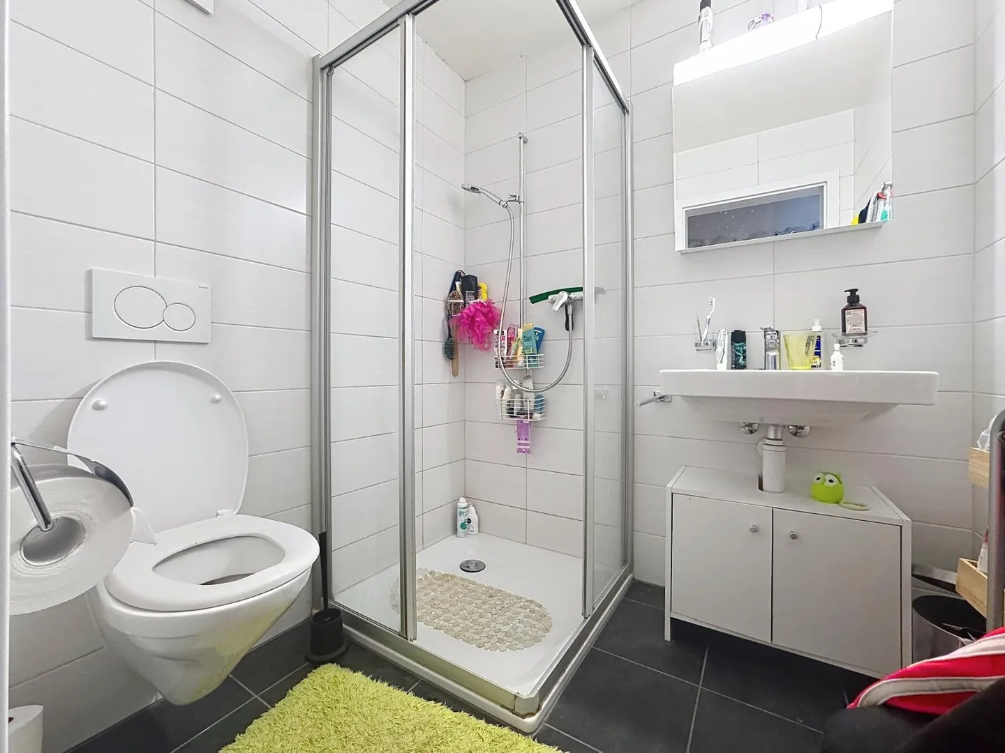 Appartamento 4.5 stanze - Foto 13 di 13