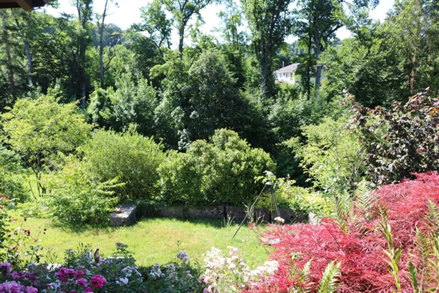 Finally Space and Peace! - Photo 12 of 14