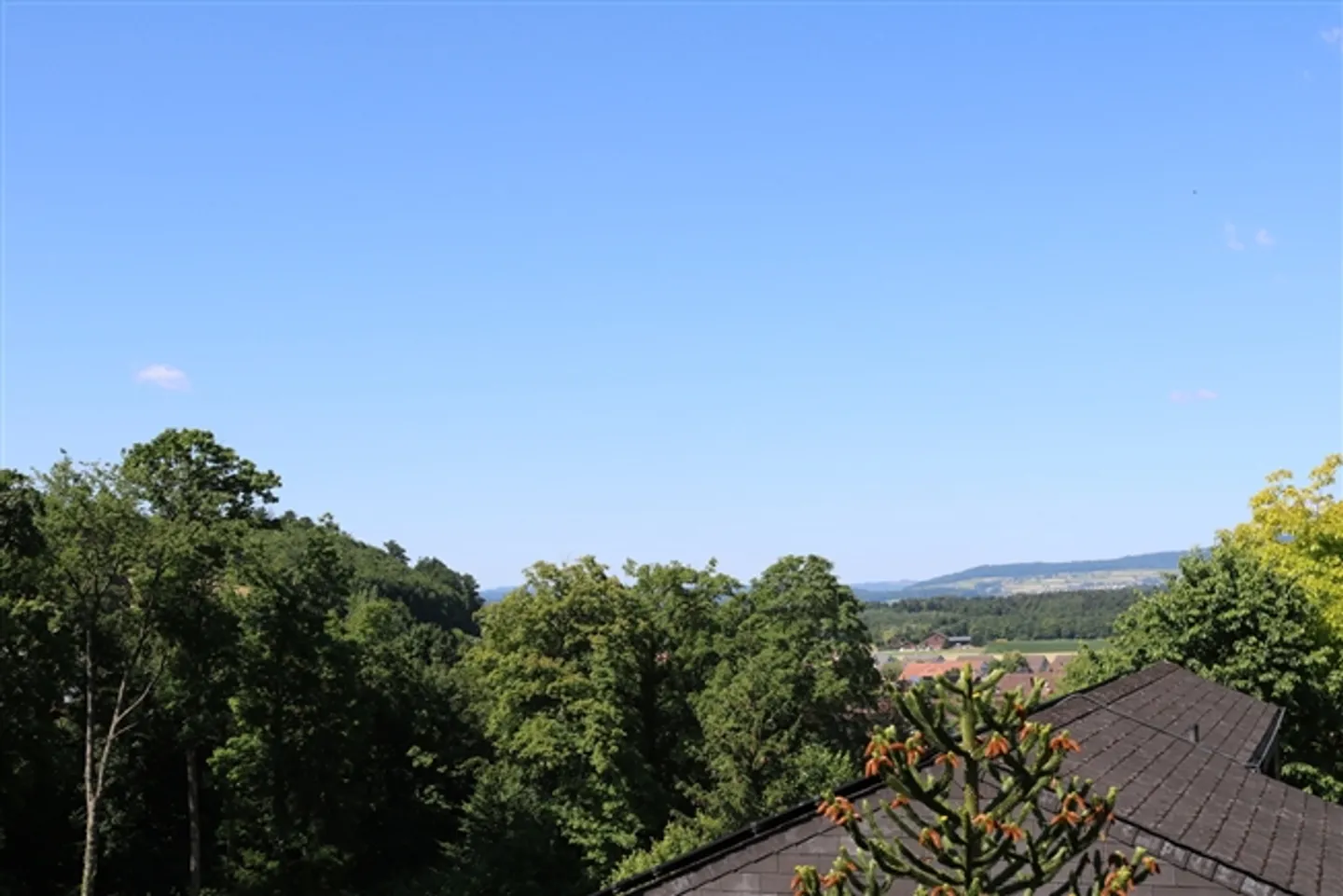 Finally Space and Peace! - Photo 13 of 14