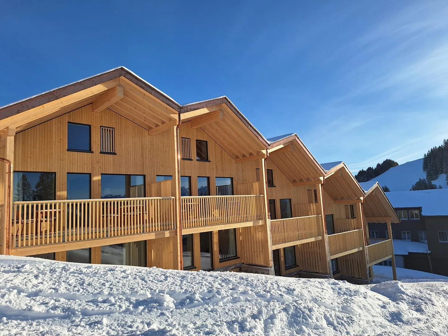 Möblierte, sonnige 4,5 Zimmer-Maisonette-Wohnung auf Rigi First - Foto 10 von 20