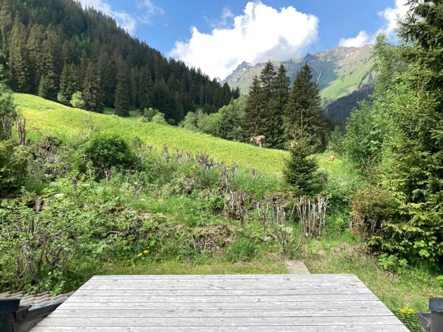 Morgins - Magnifico appartamento di 4,5 stanze - Foto 8 di 10
