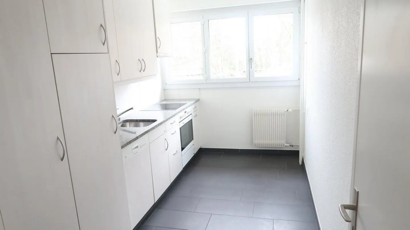 Charmante Wohnung in Weissenbühl - Foto 2 von 9