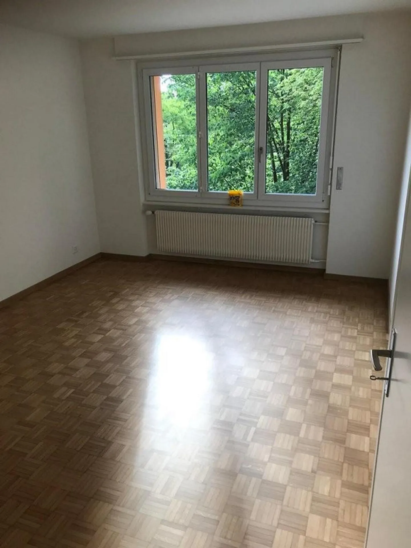 Charmante Wohnung in Weissenbühl - Foto 4 von 9