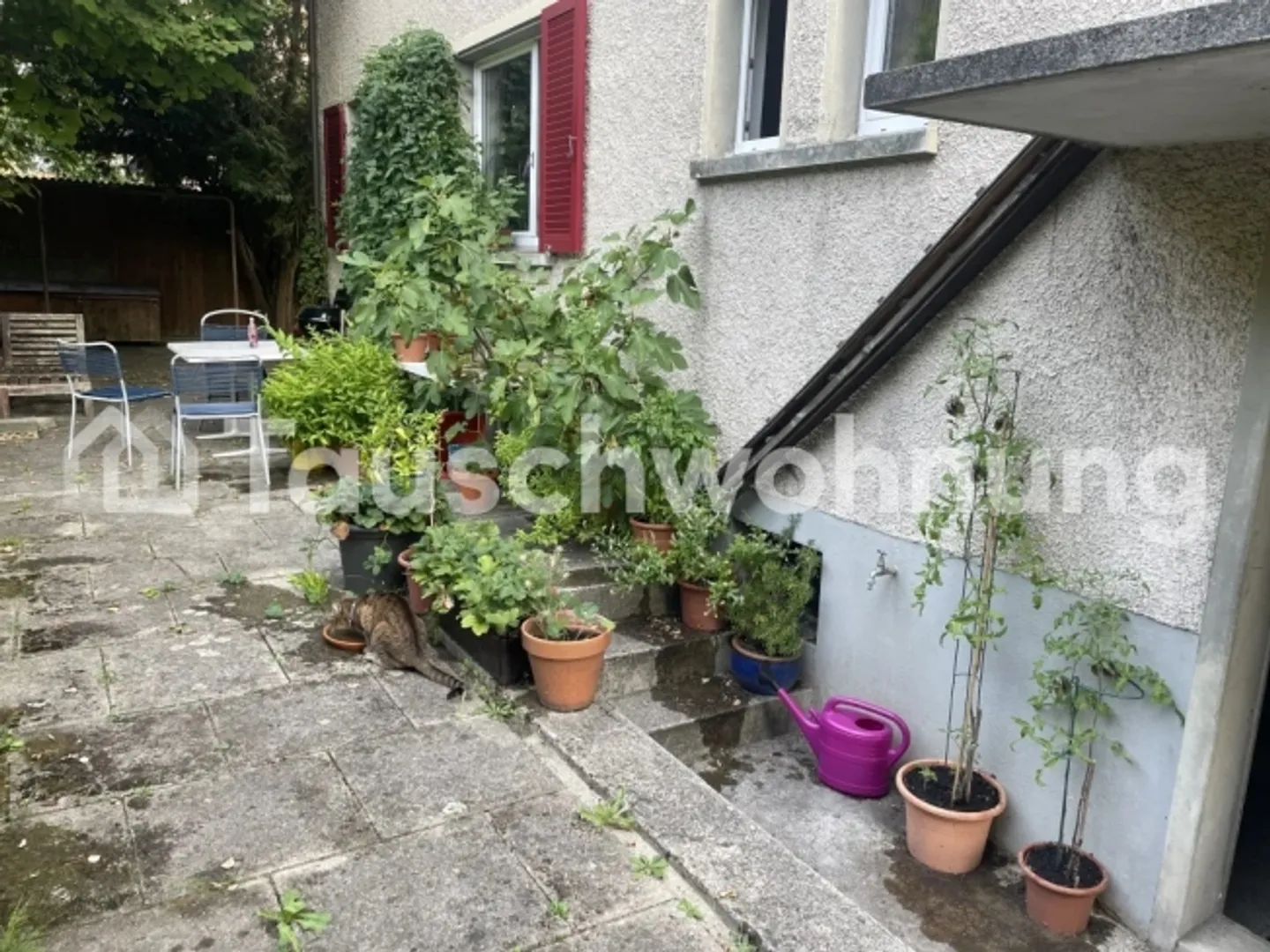 Scambio appartamento di 4 stanze a Winterthur Töss - Foto 1 di 1