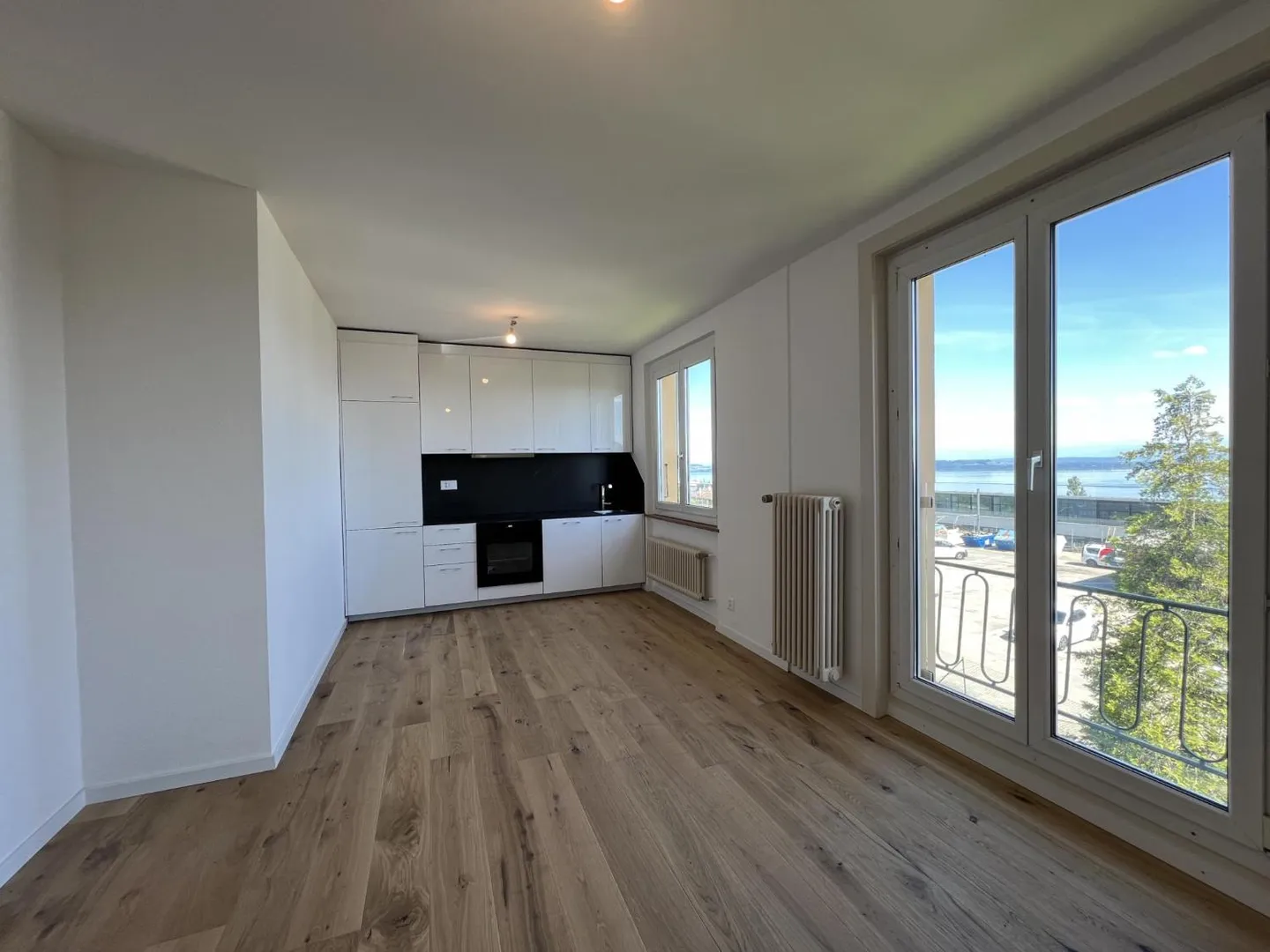 Comfort, Light and Panoramic View of the Lake and the Alps - Photo 1 of 7