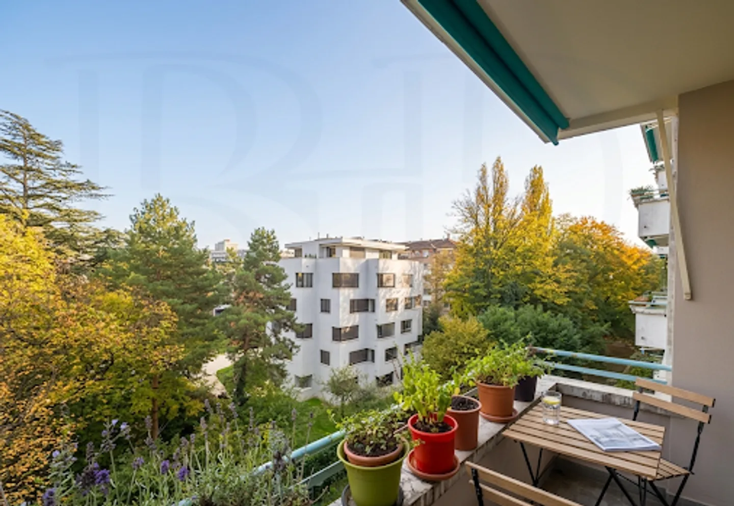 Charmant Appartement à Malagnou - Photo 2 sur 6