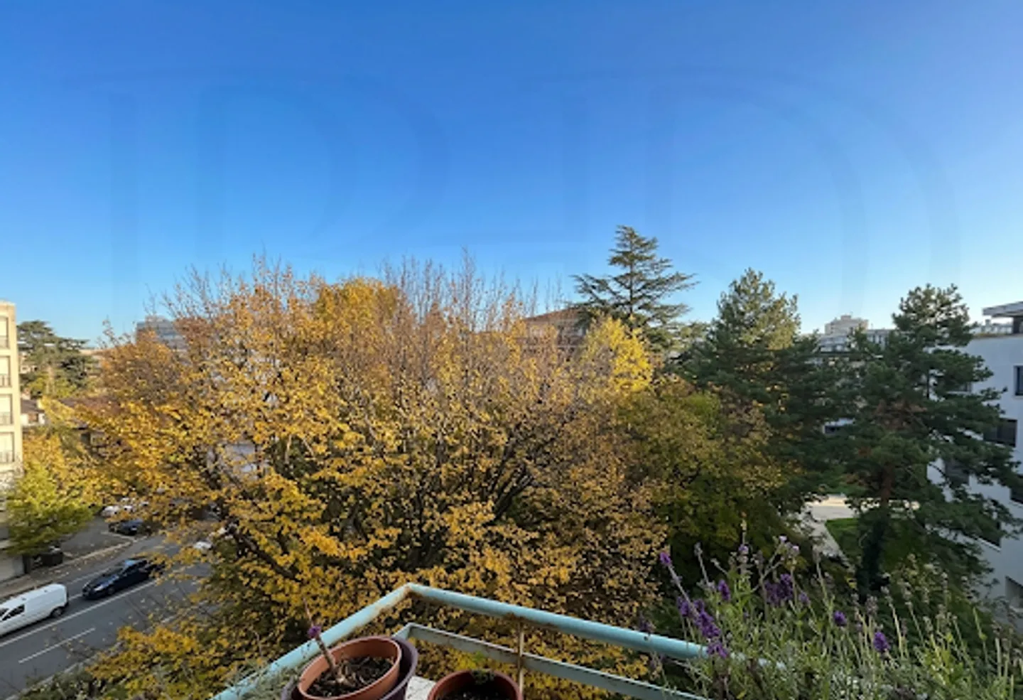 Charmant Appartement à Malagnou - Photo 6 sur 6