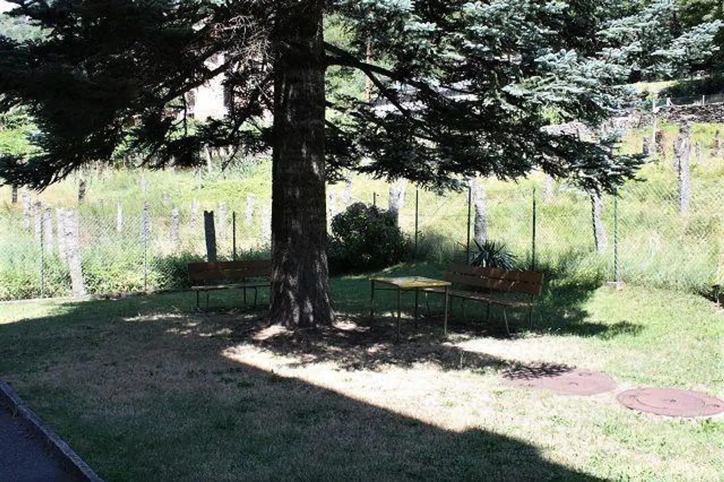Appartement 4½ pièces ensoleillé à Giornico - Photo 16 sur 18