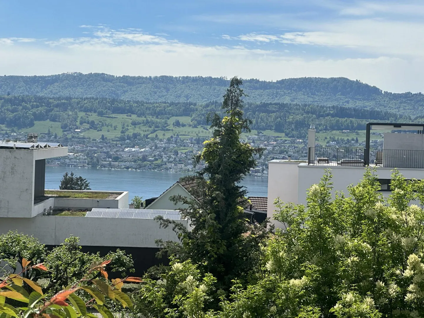 Moderno appartamento mansardato di 2,5 stanze nell'oasi fiscale di Herrliberg - Foto 6 di 6