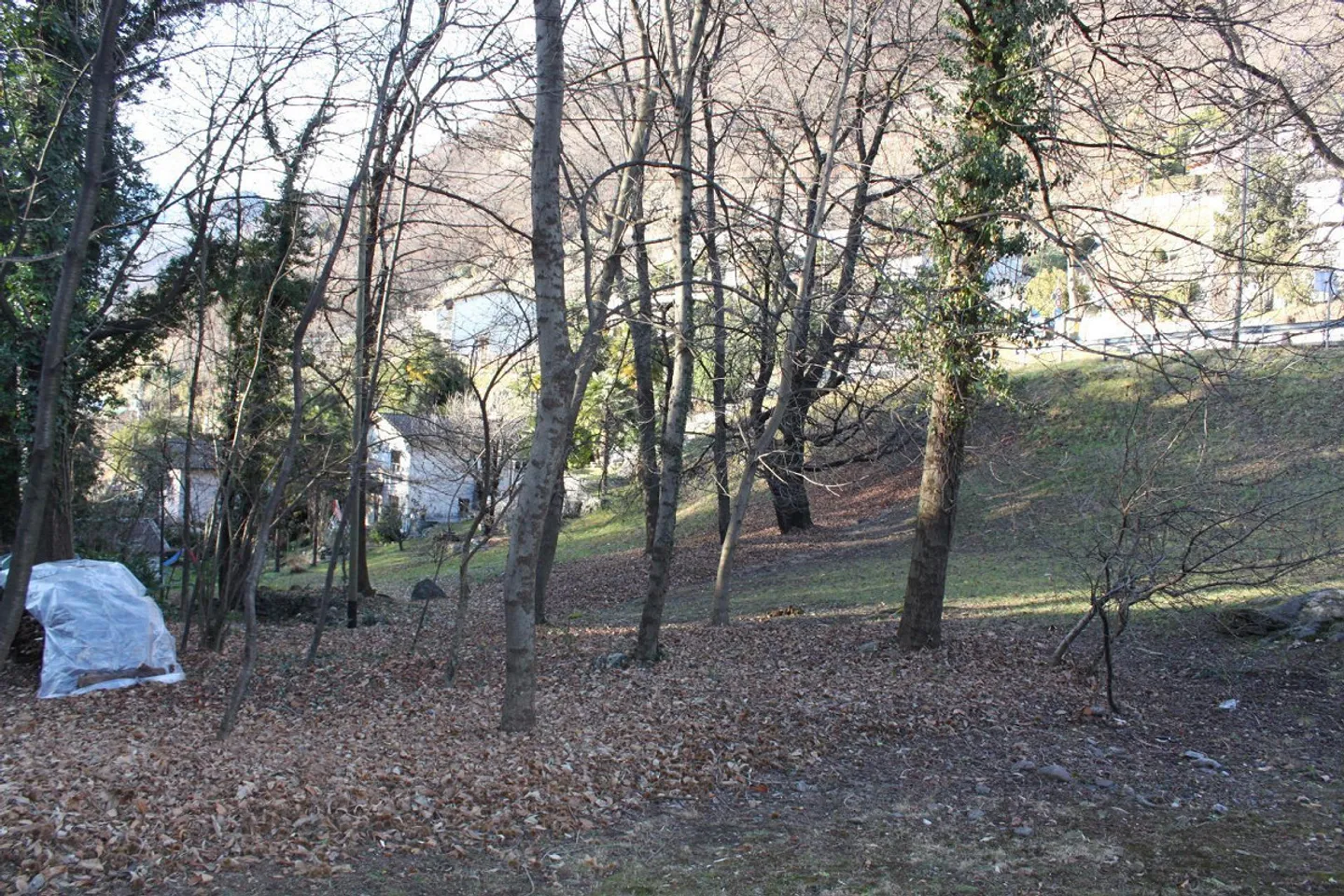 Baugrundstück von 668m2 und 369 m2 Teil Wald - Foto 15 von 16