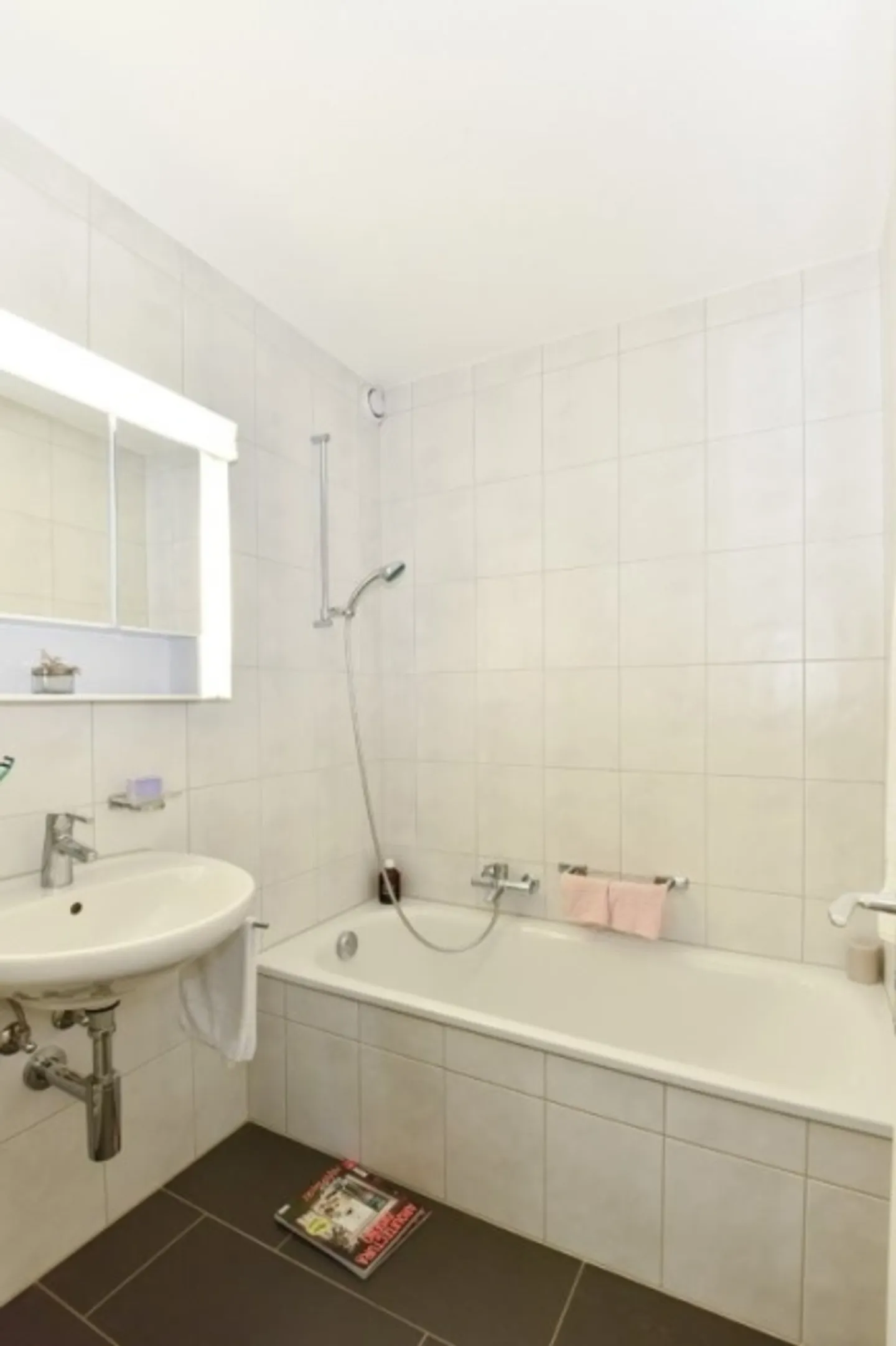 Appartamento 3,5 locali Piano Terra - Foto 5 di 5