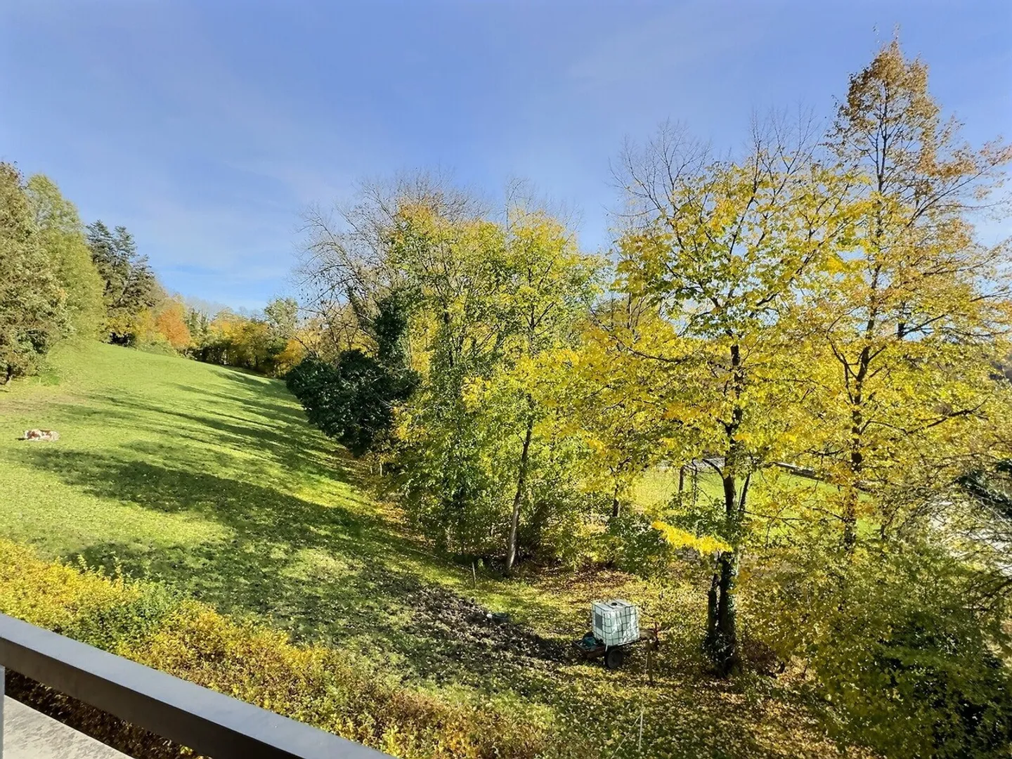 Villa indipendente raggruppata di 5,5 locali + studio indipendente - Foto 5 di 17