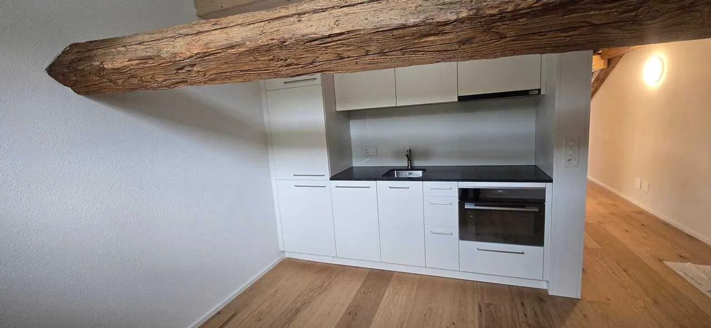 Modern 2.5 Room Apartment for Rent in Stein AG - Photo 2 of 12