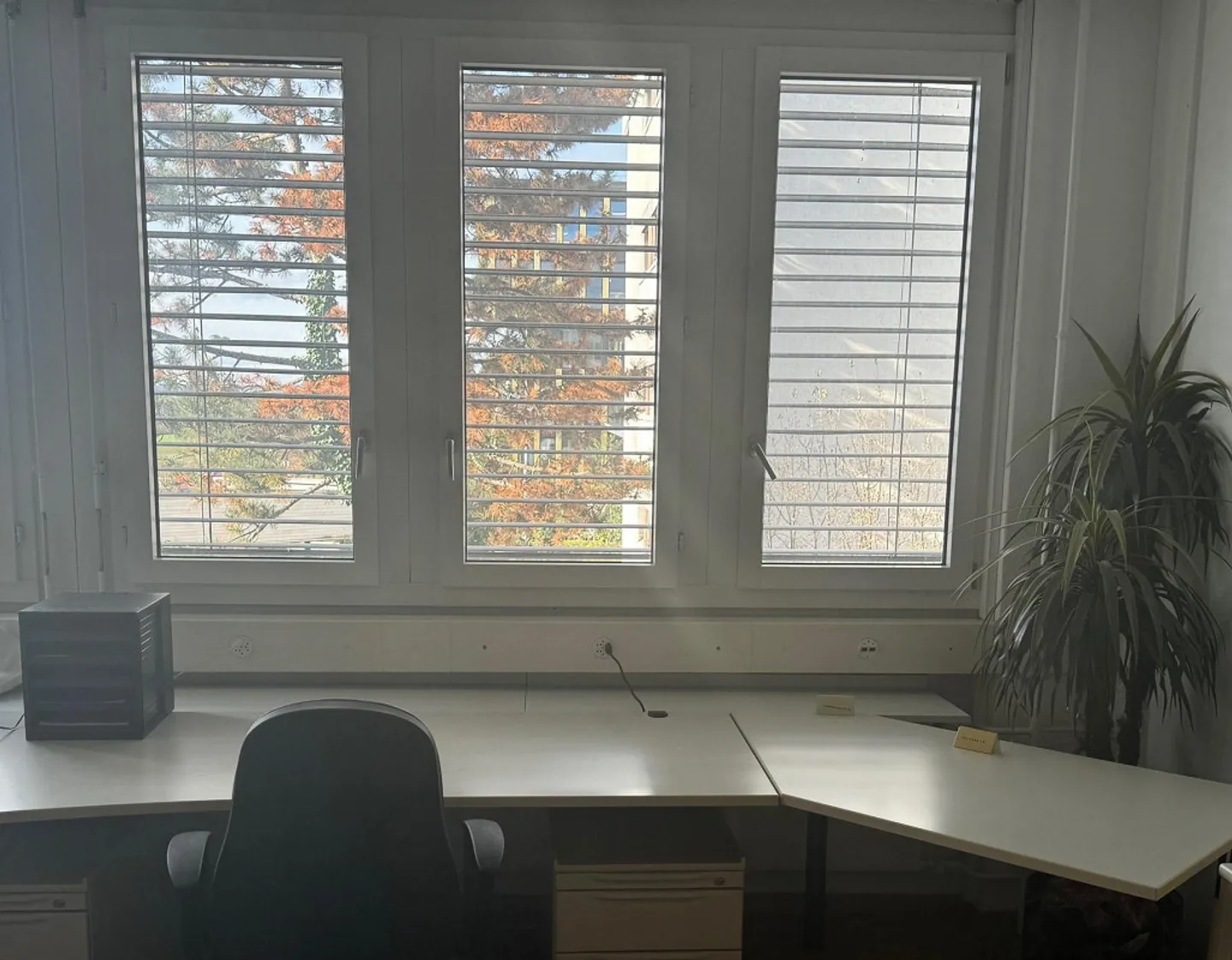 Geschäftssitz in Baar - Foto 1 von 1