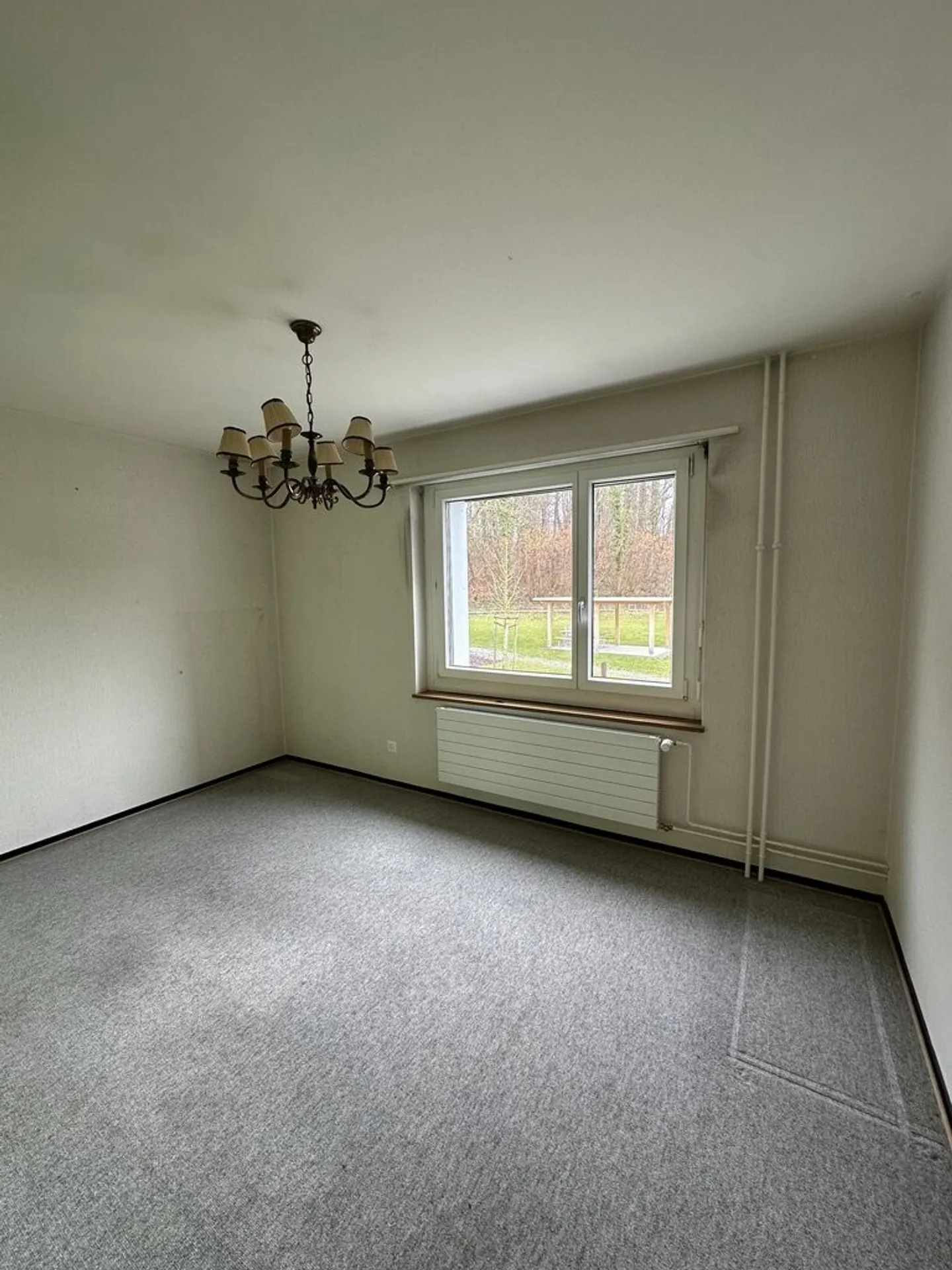 Un bon départ à la maison - Photo 3 sur 8