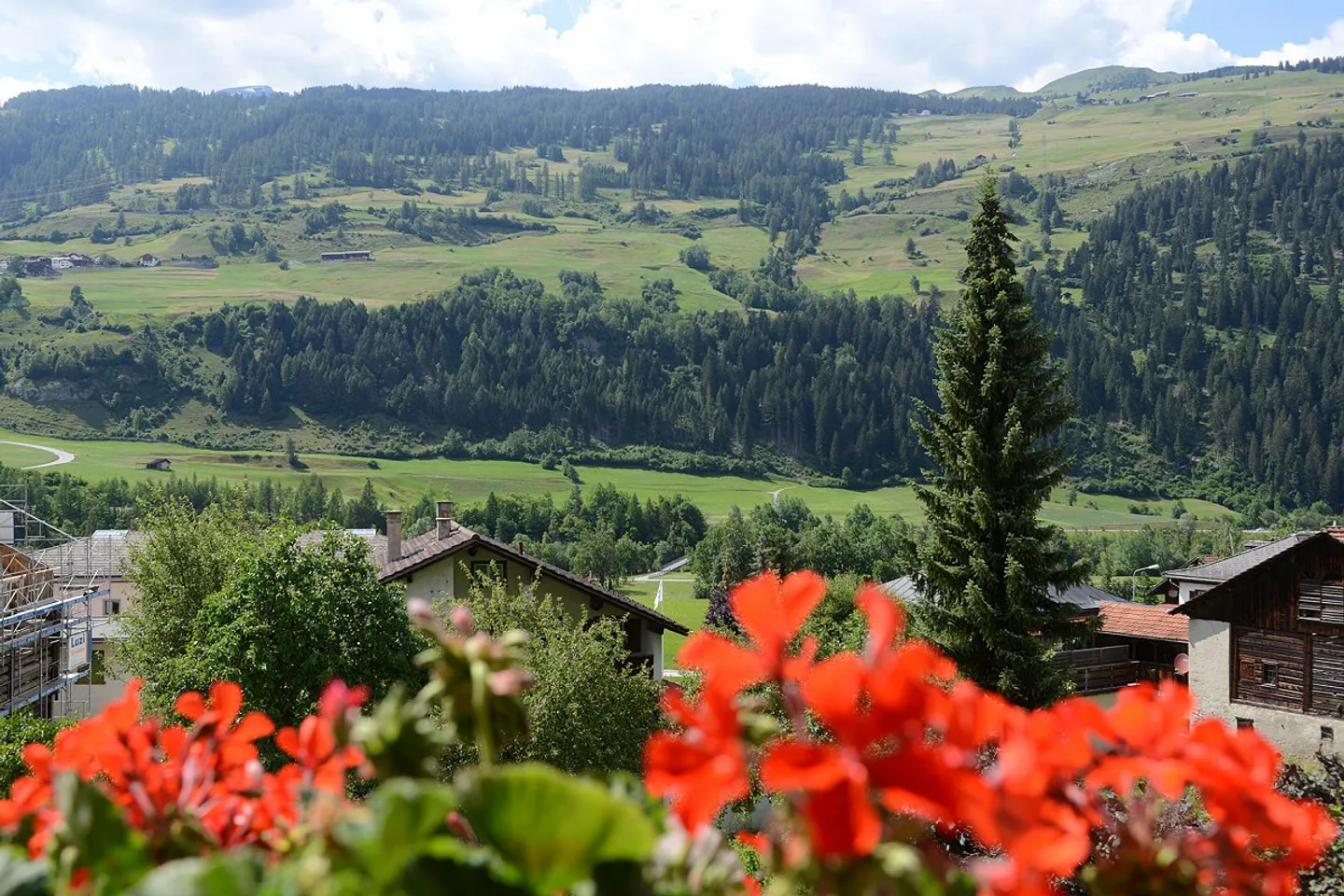 Appartamento 4,5 stanze - Foto 7 di 8