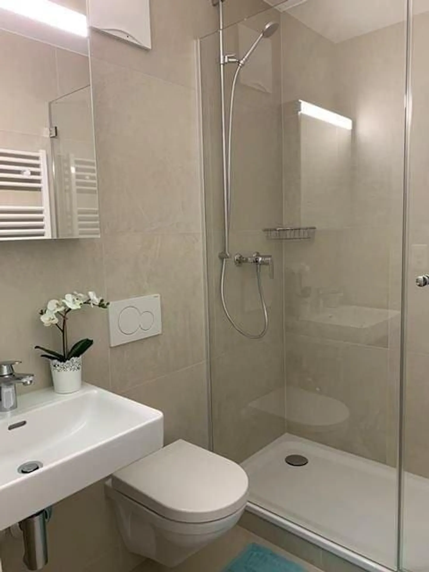 Moderno appartamento singolo vicino al campus Novartis - Foto 4 di 4