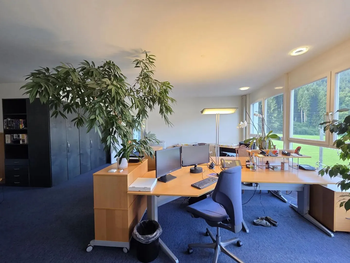 Moderne 6-Zimmer-Büroräume in Feusisberg mit herrlicher Aussicht - Foto 9 von 10