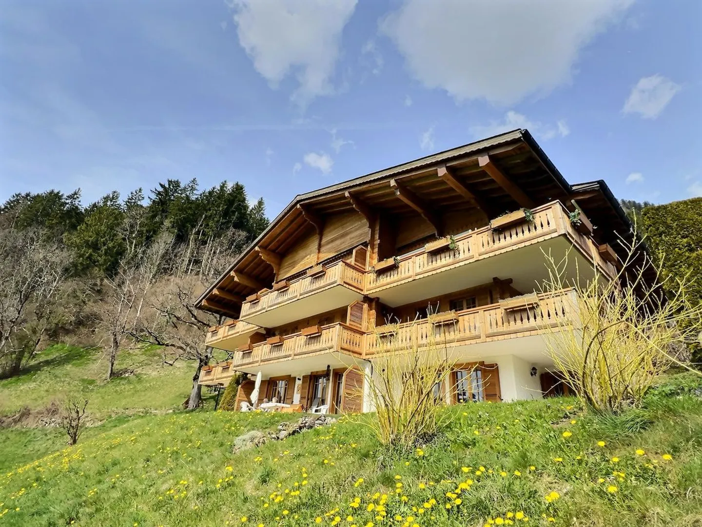 Wunderschönes Duplex in Château-d'Oex - Foto 3 von 13