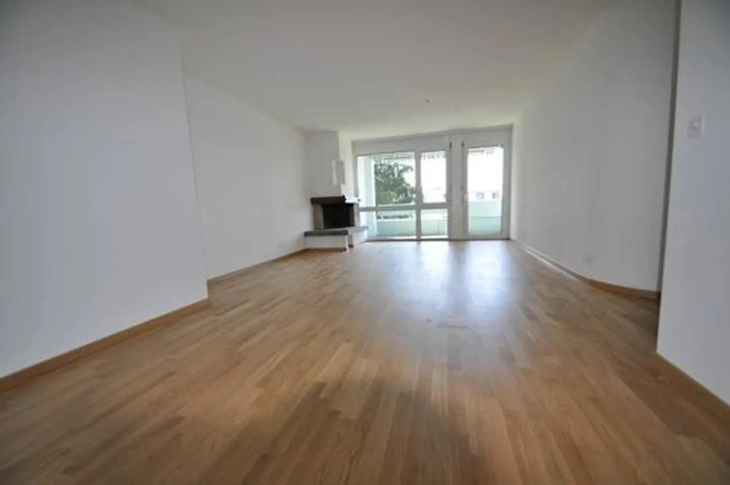 Living with fireplace and balcony - Photo 2 of 8