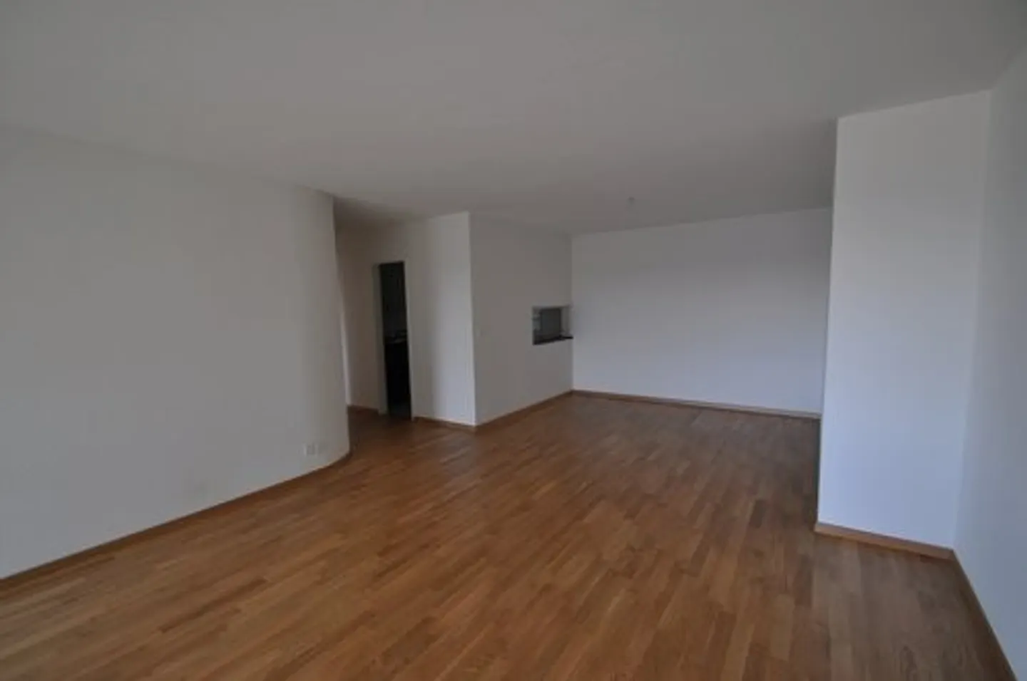 Living with fireplace and balcony - Photo 3 of 8