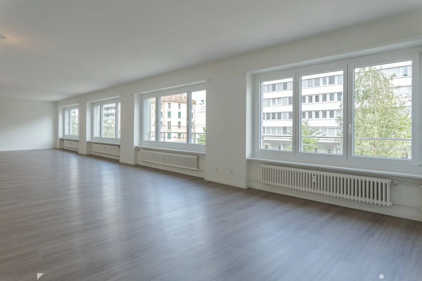 Spacious Commercial Space in Biel - Photo 4 of 18