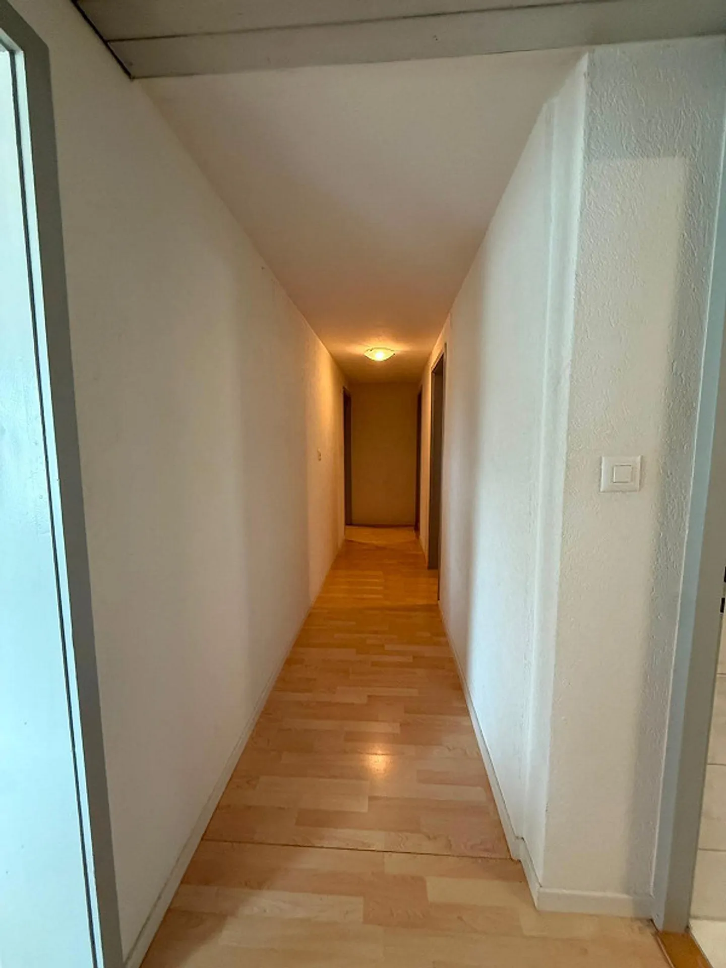 4 1/2 Room Apartment - Photo 3 of 6