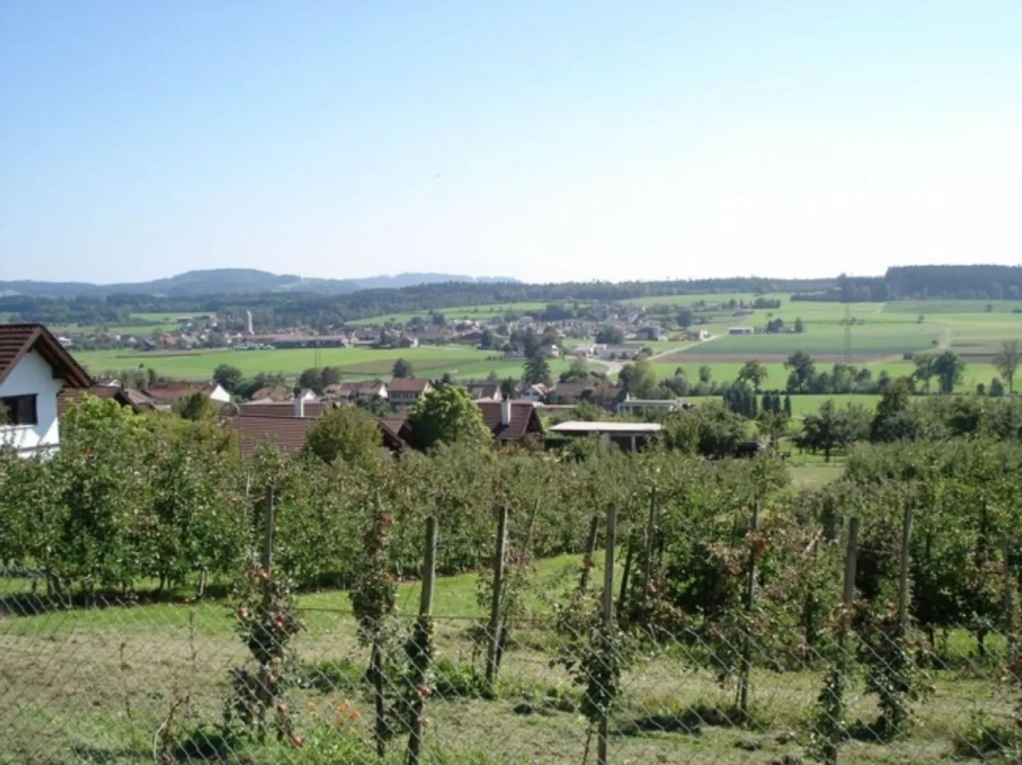 Bel appartement de 2 1/2 pièces dans la verdure - Photo 12 sur 17
