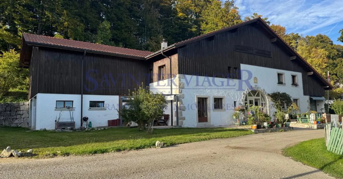 Leibrente Immobilie, teilweise frei. Zusätzliche Flächen zu renovieren - Foto 1 von 13