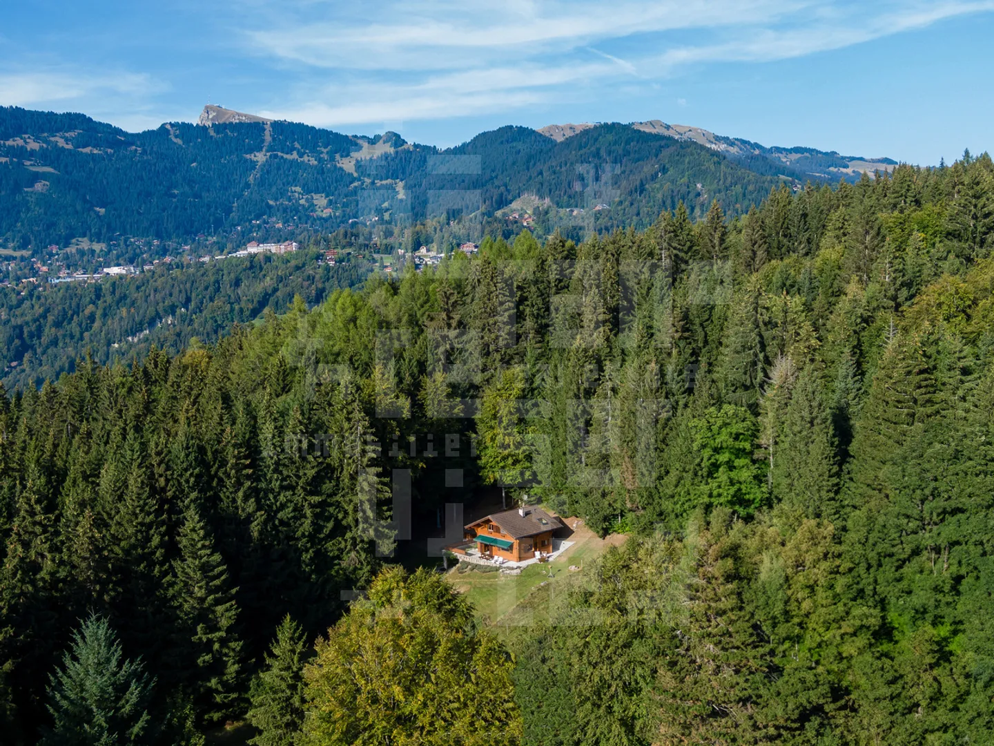 Im Paradies - Foto 4 von 25