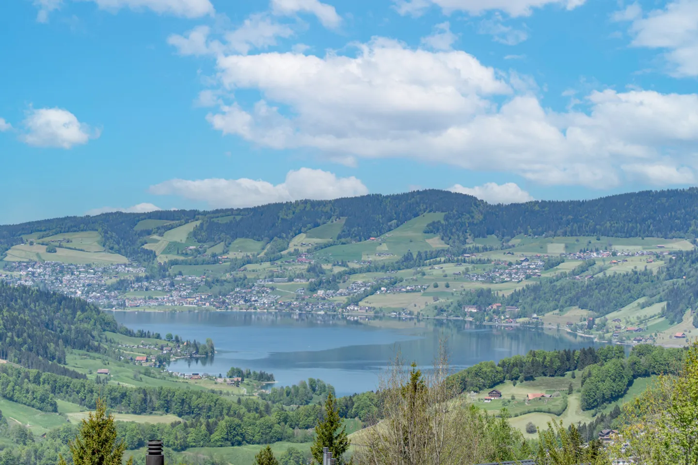 Sattel-Hochstuckli SZ : Au plus près de la nature - avec style et vue dégagée - Photo 1 sur 5