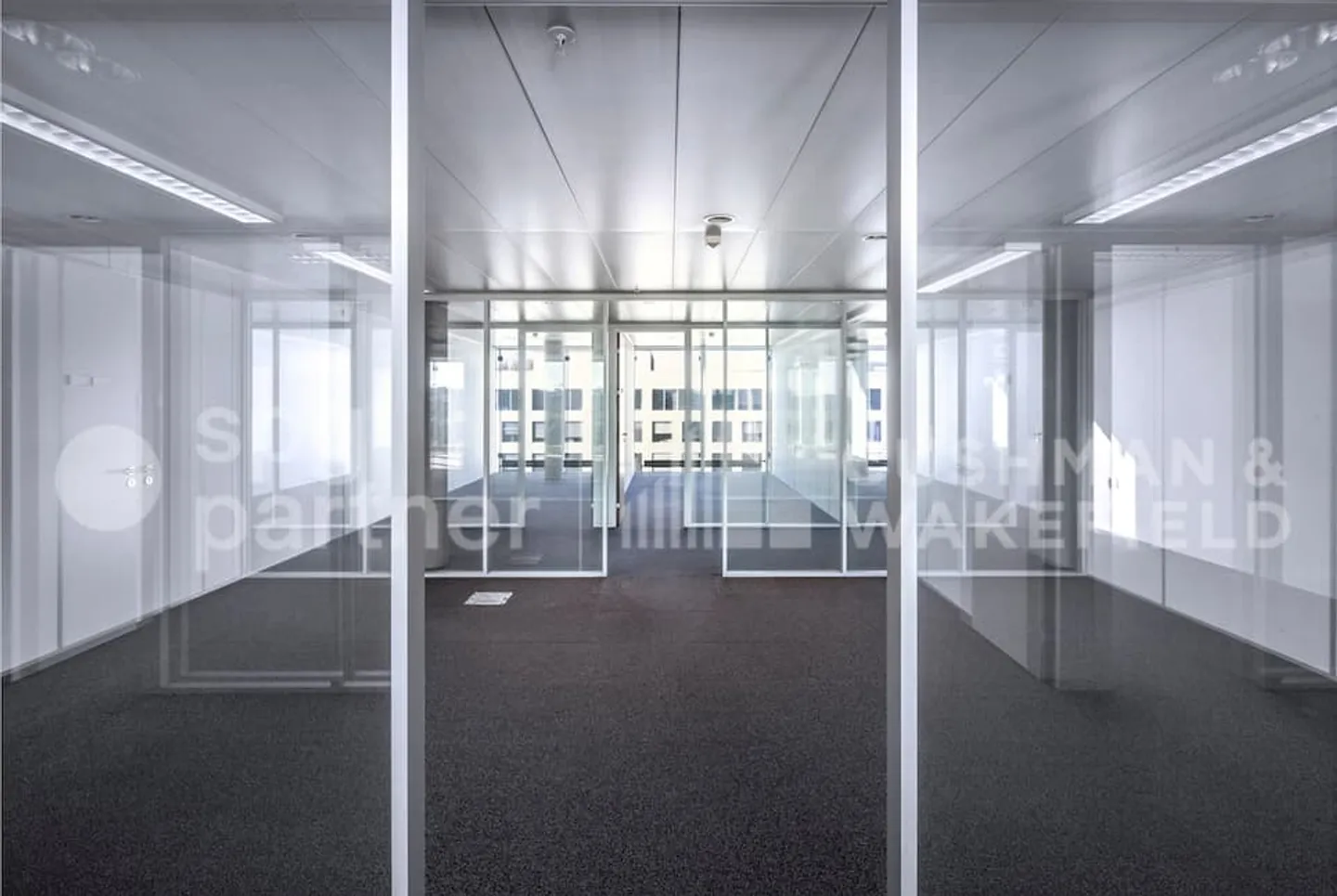 BIRD - Foto 10 di 12