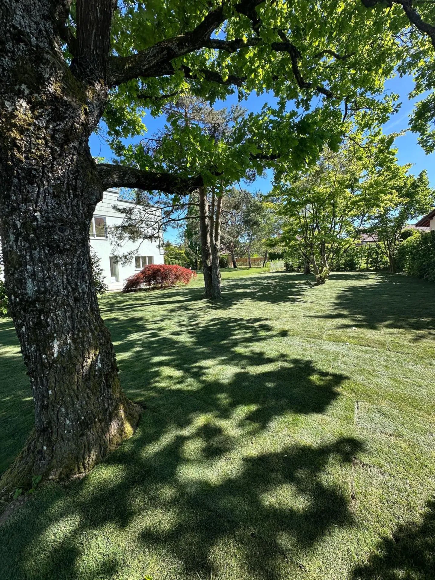 Einfamilienhaus kaufen - Foto 25 von 29