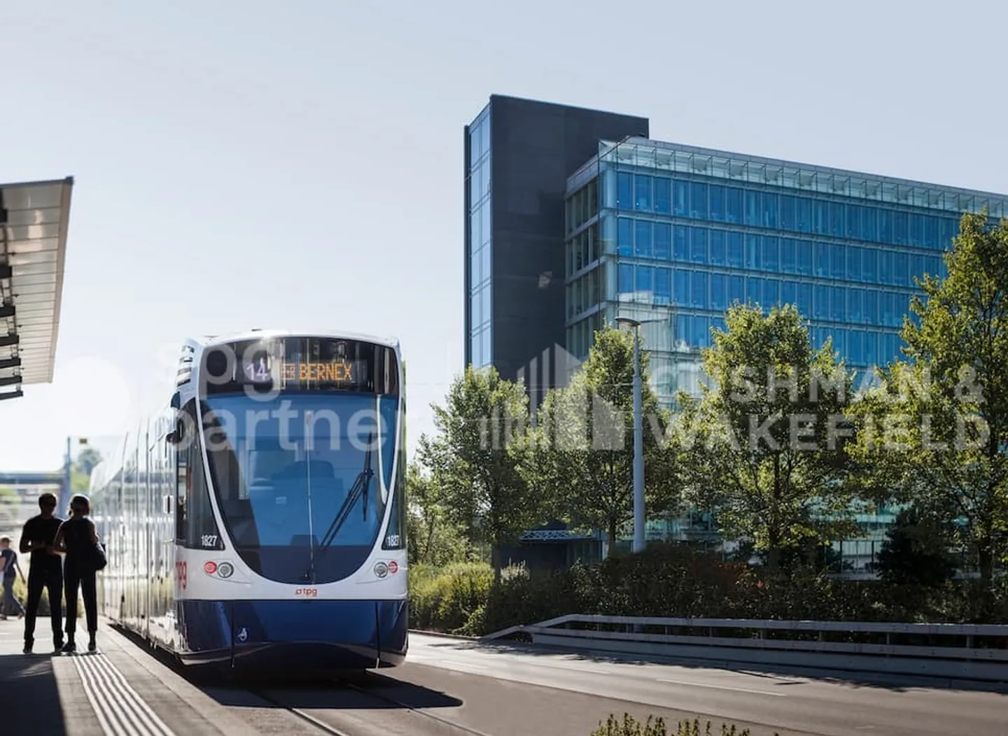 BIRD - Foto 11 di 12