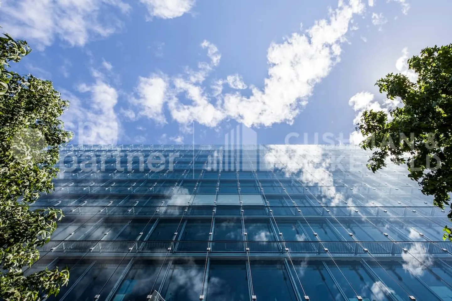 BIRD - Foto 12 di 12