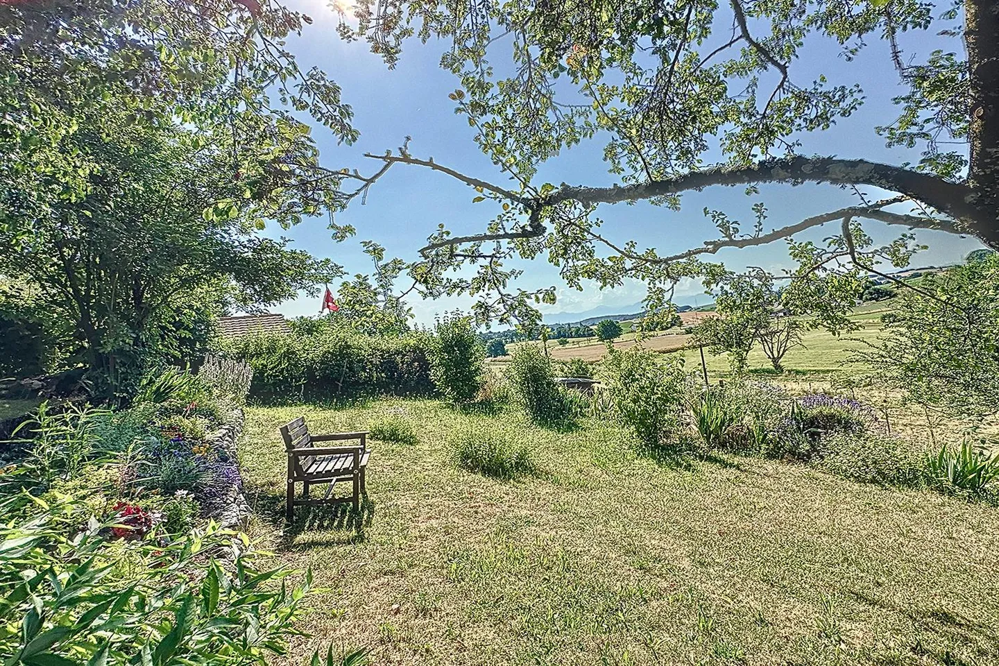 Esclusivo - Opportunità di investimento - Appartamento con studio privato - Foto 3 di 3