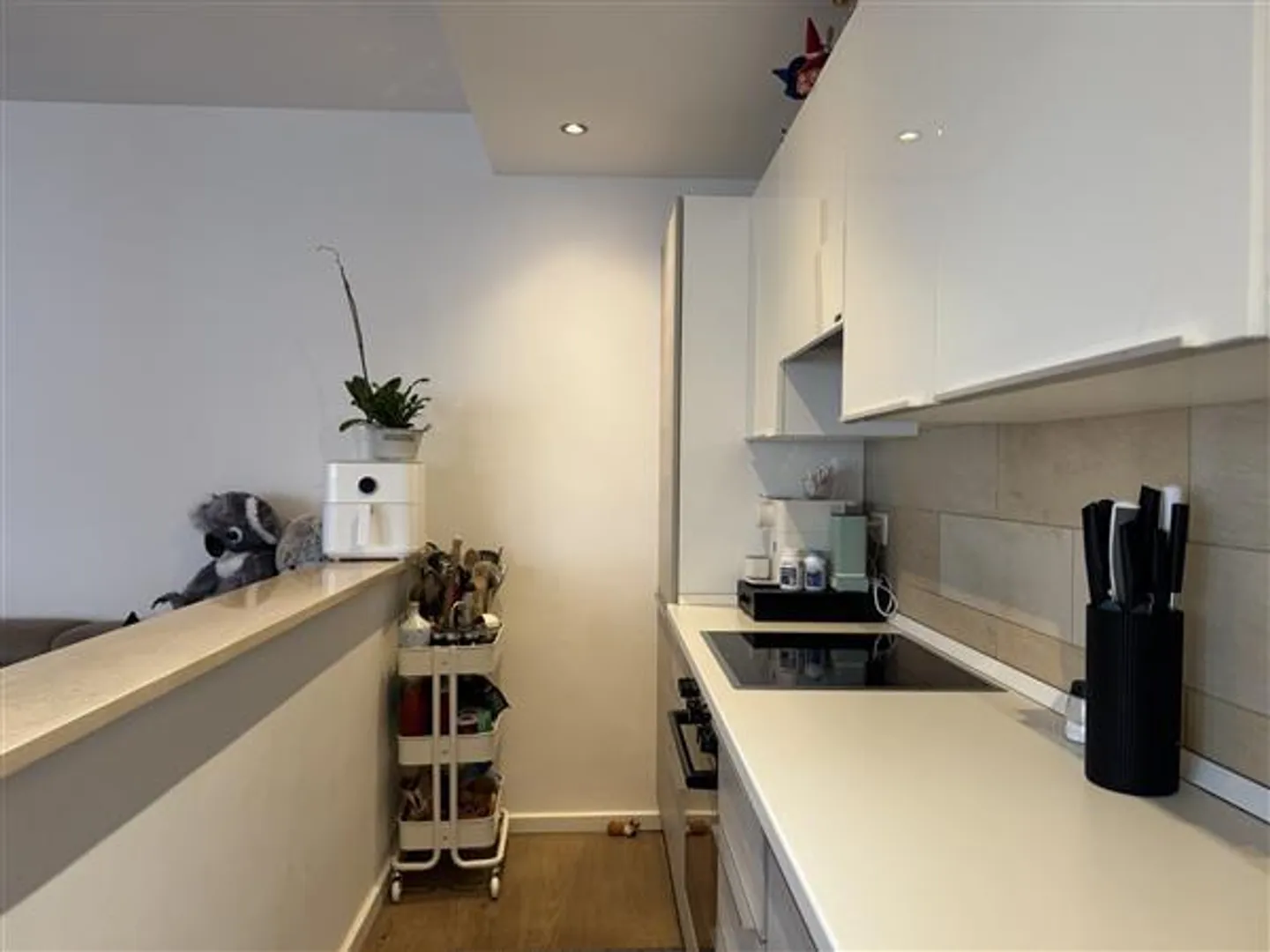 Paradis : Appartement 2.5 pièces - Photo 7 sur 13