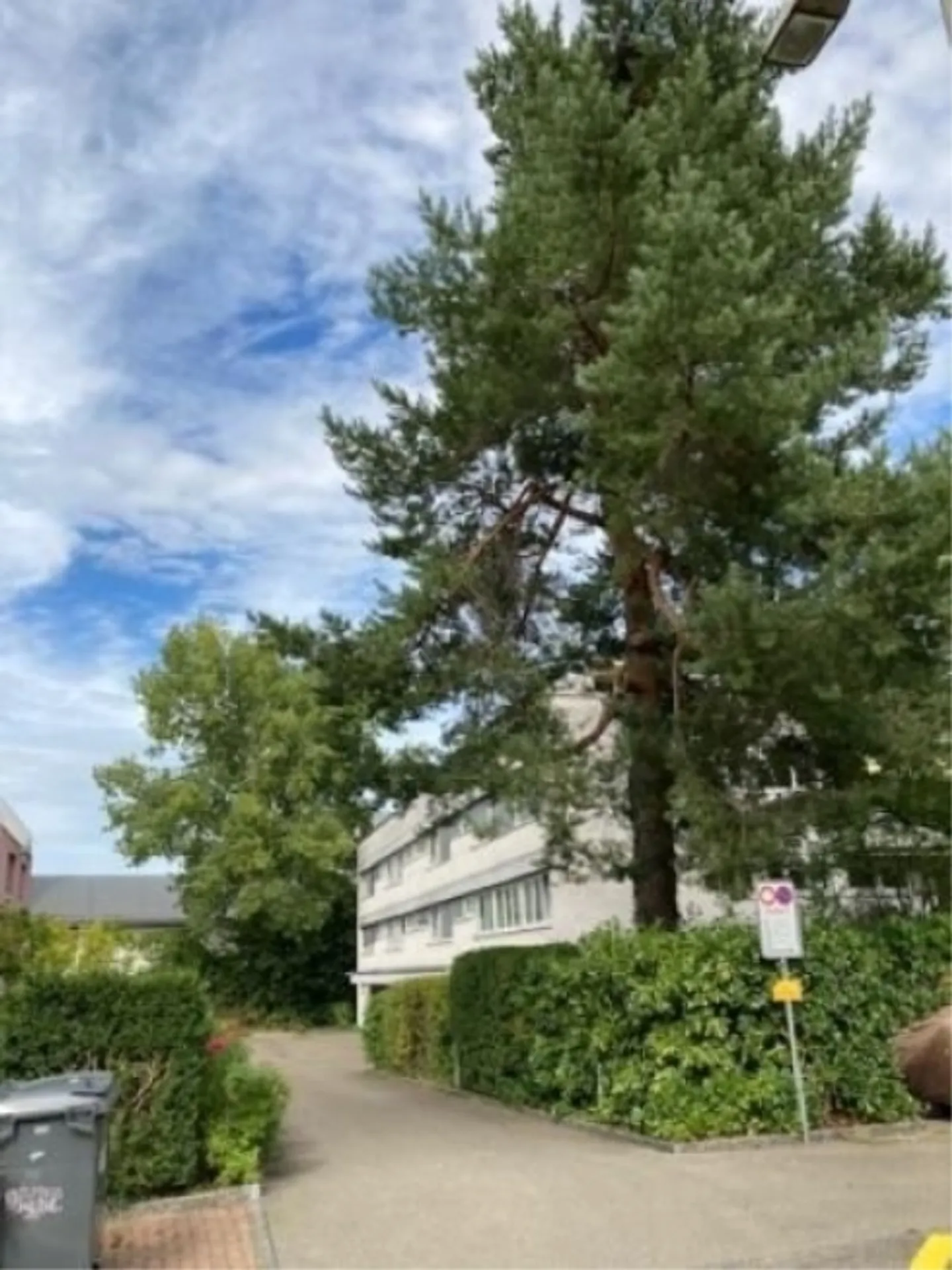 Bellissimo appartamento di 4,5 stanze con camino e vista sul verde - Foto 1 di 5