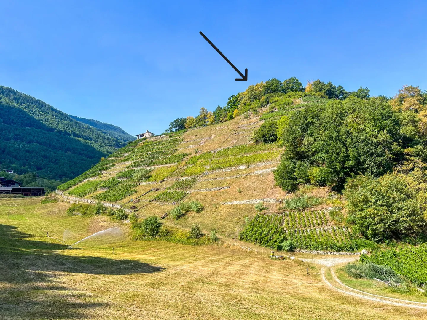 Terreno Unico per Eventi a Martigny-Combe - Foto 3 di 6