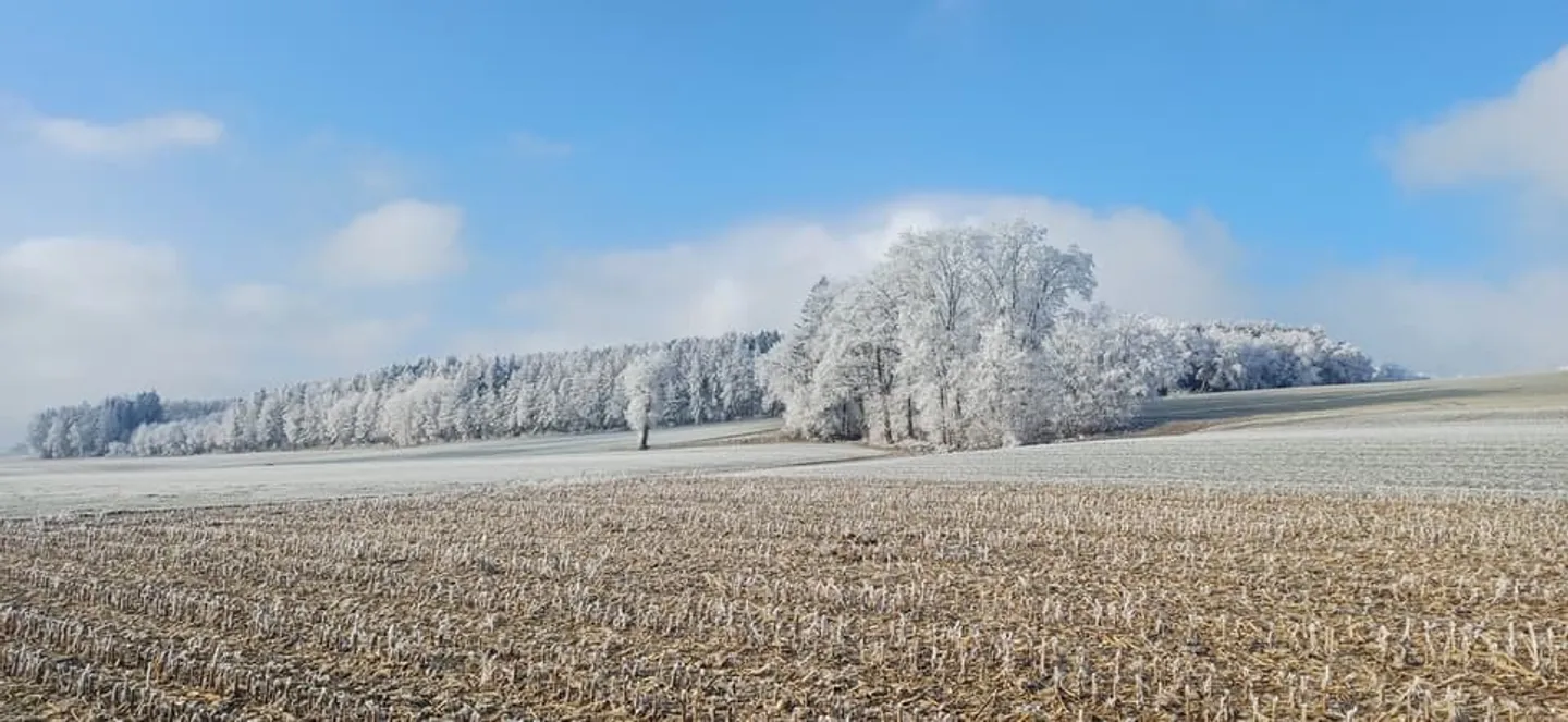 À 12 minutes de l'arrêt M2 Croisette. Villa 5.5 pcs à vendre - Photo 7 of 9