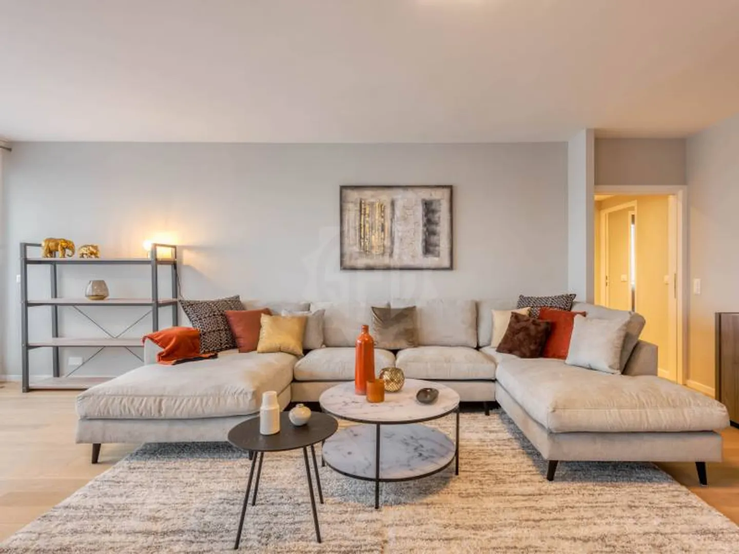 Luxury Apartment in Malagnou - Photo 3 of 11