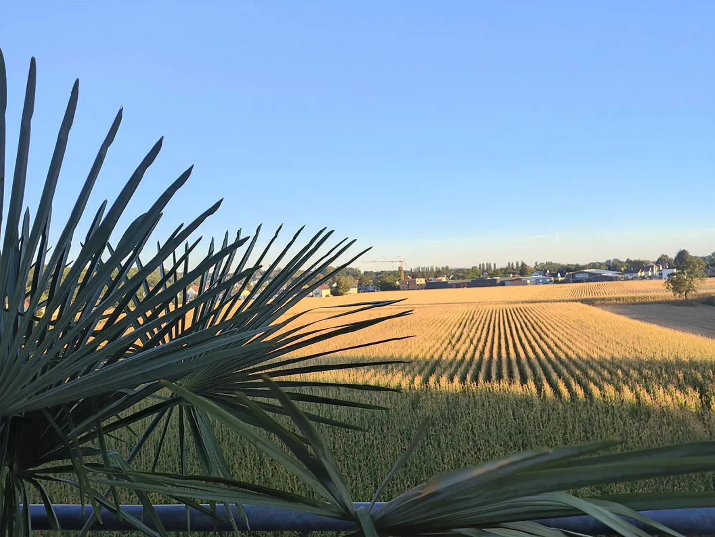 Wunderschöne 5.5-Zimmer-Dachwohnung im 3. Stock - Foto 7 von 10