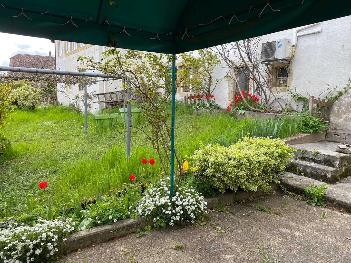 Da Cogliere: Edificio Affittato e Ristrutturato? Redditività Garantita - Foto 2 di 10