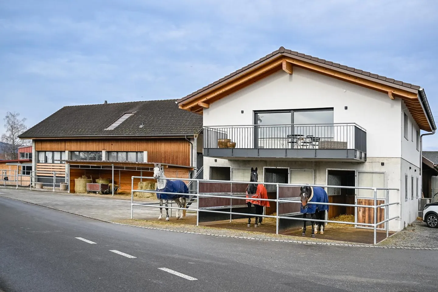 INSTALLATION ÉQUESTRE EN ZONE INDUSTRIELLE AVEC UN GRAND POTENTIEL - Photo 1 sur 42