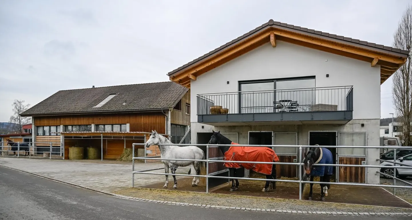 INSTALLATION ÉQUESTRE EN ZONE INDUSTRIELLE AVEC UN GRAND POTENTIEL - Photo 2 sur 42