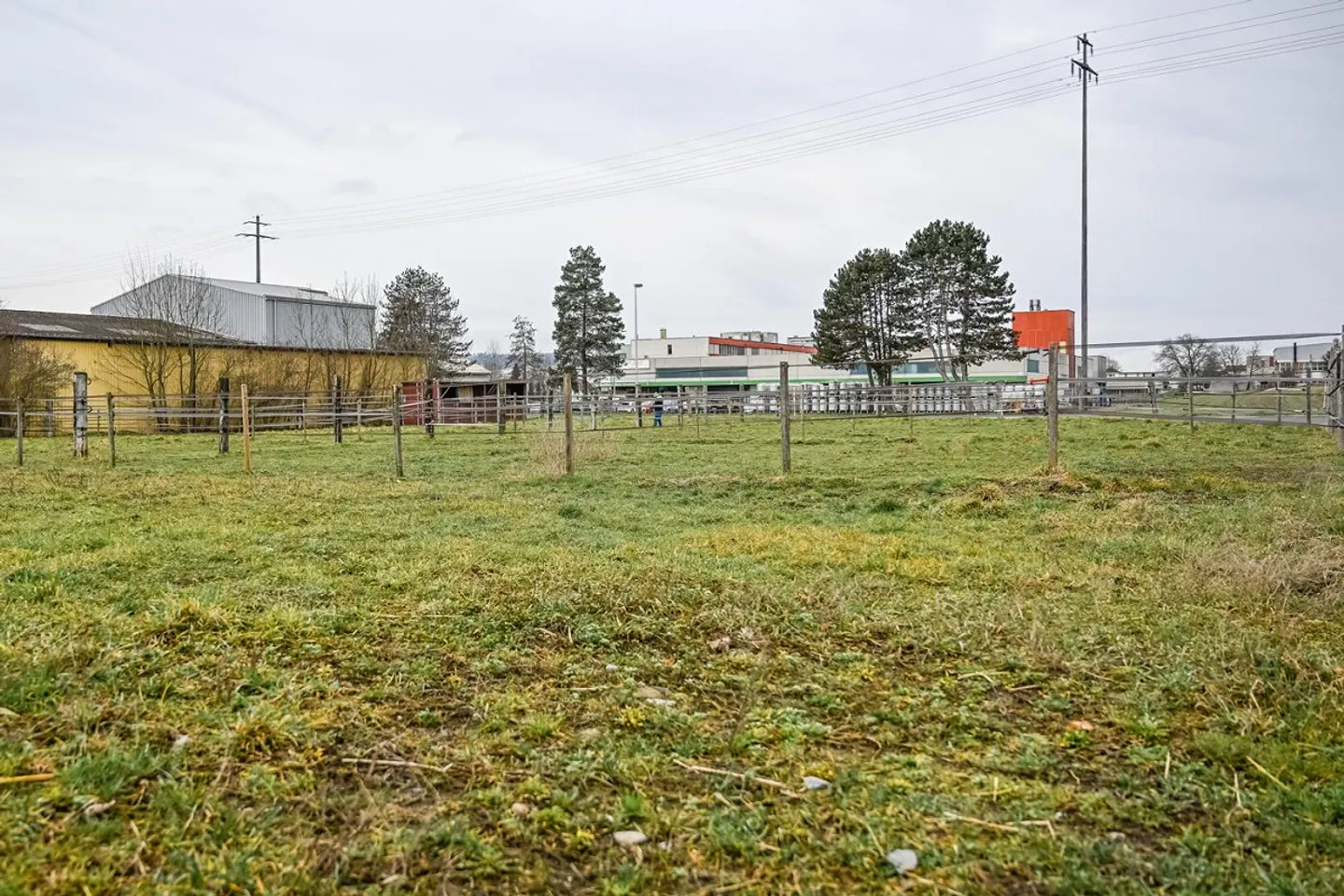 INSTALLATION ÉQUESTRE EN ZONE INDUSTRIELLE AVEC UN GRAND POTENTIEL - Photo 5 sur 42