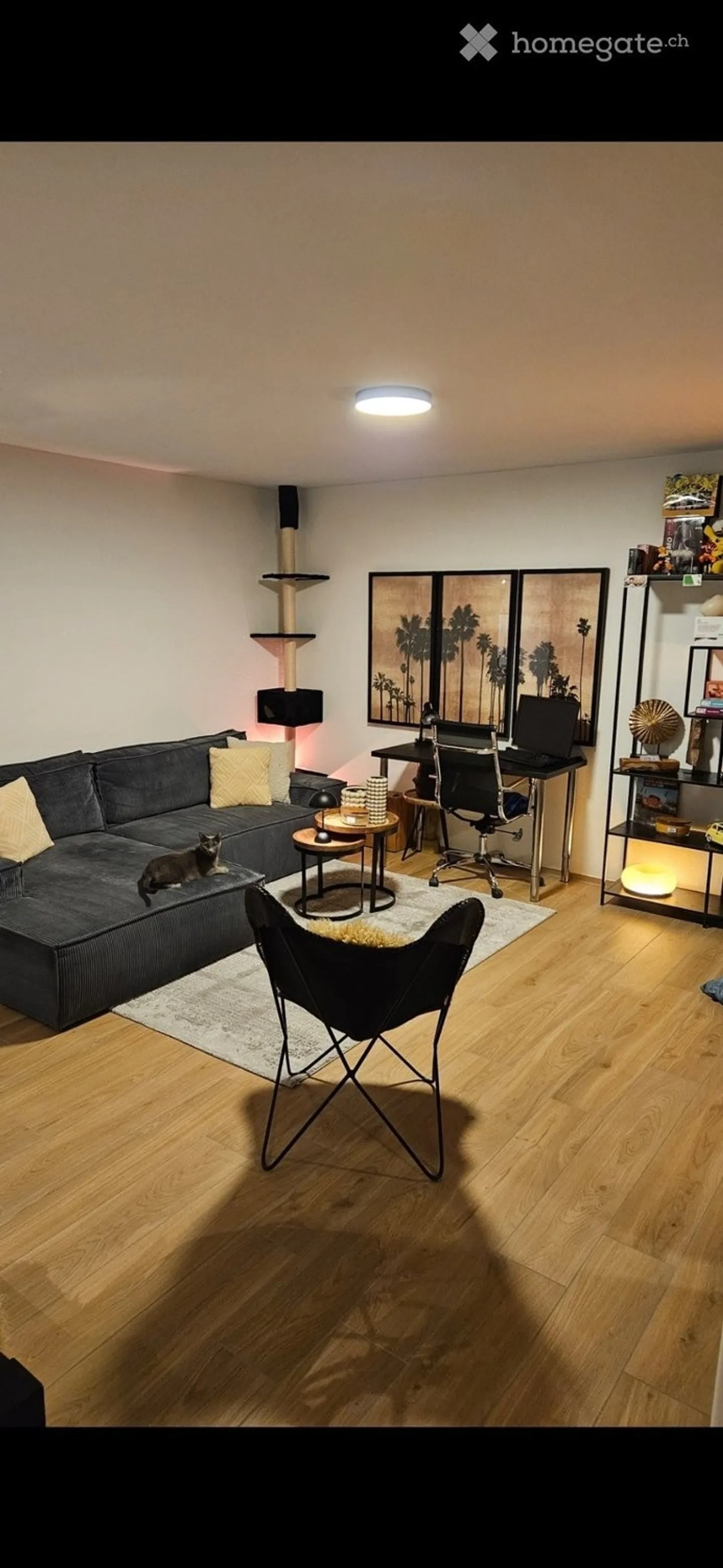 Moderne 2.5 Zimmerwohnung mit Terrasse - Foto 4 von 5